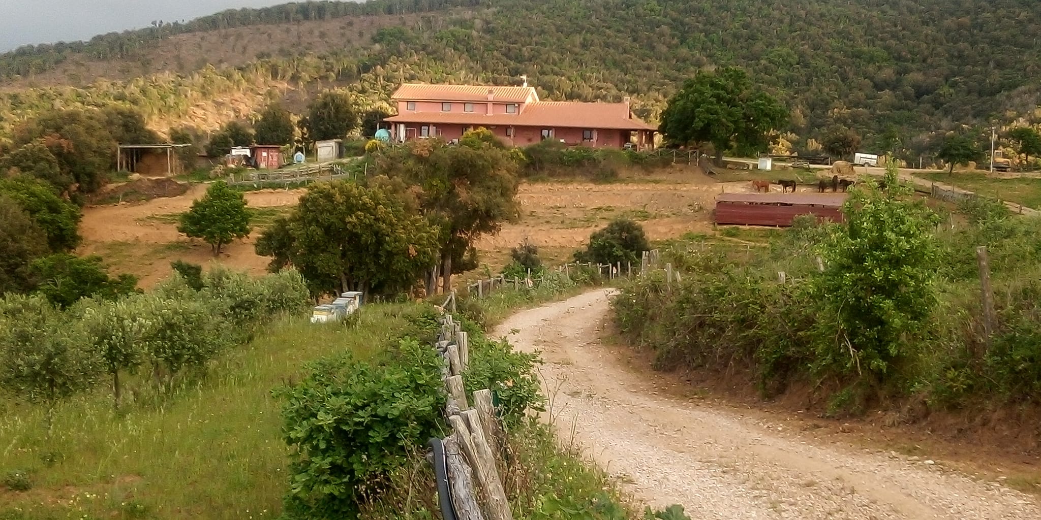 Il Bosco Felice