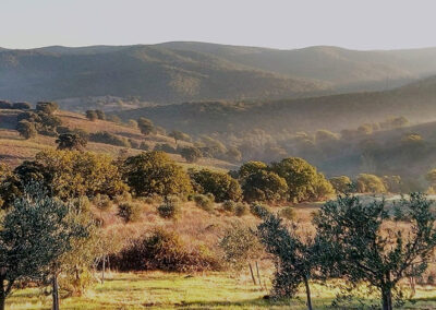 Paesaggio