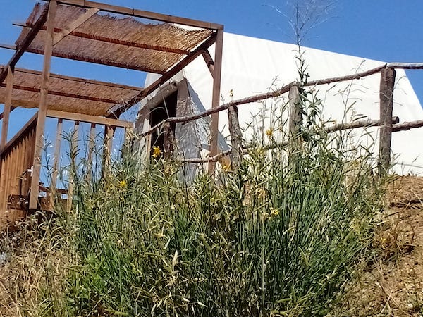 Glamp Tent Il Picchio Verde | Veranda privata, colazione inclusa - immagine 3