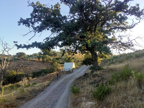 Lupo Solitario – Glamping Experience per Una Persona