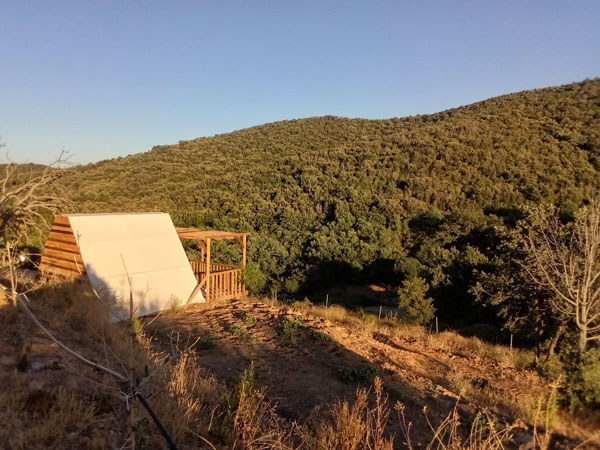 Lupo Solitario – Glamping Experience per Una Persona - immagine 11
