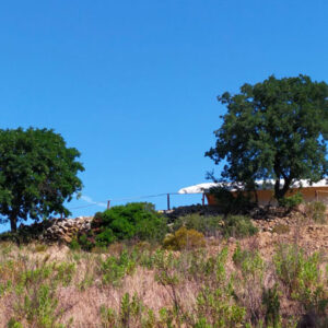 Glamping in Maremma