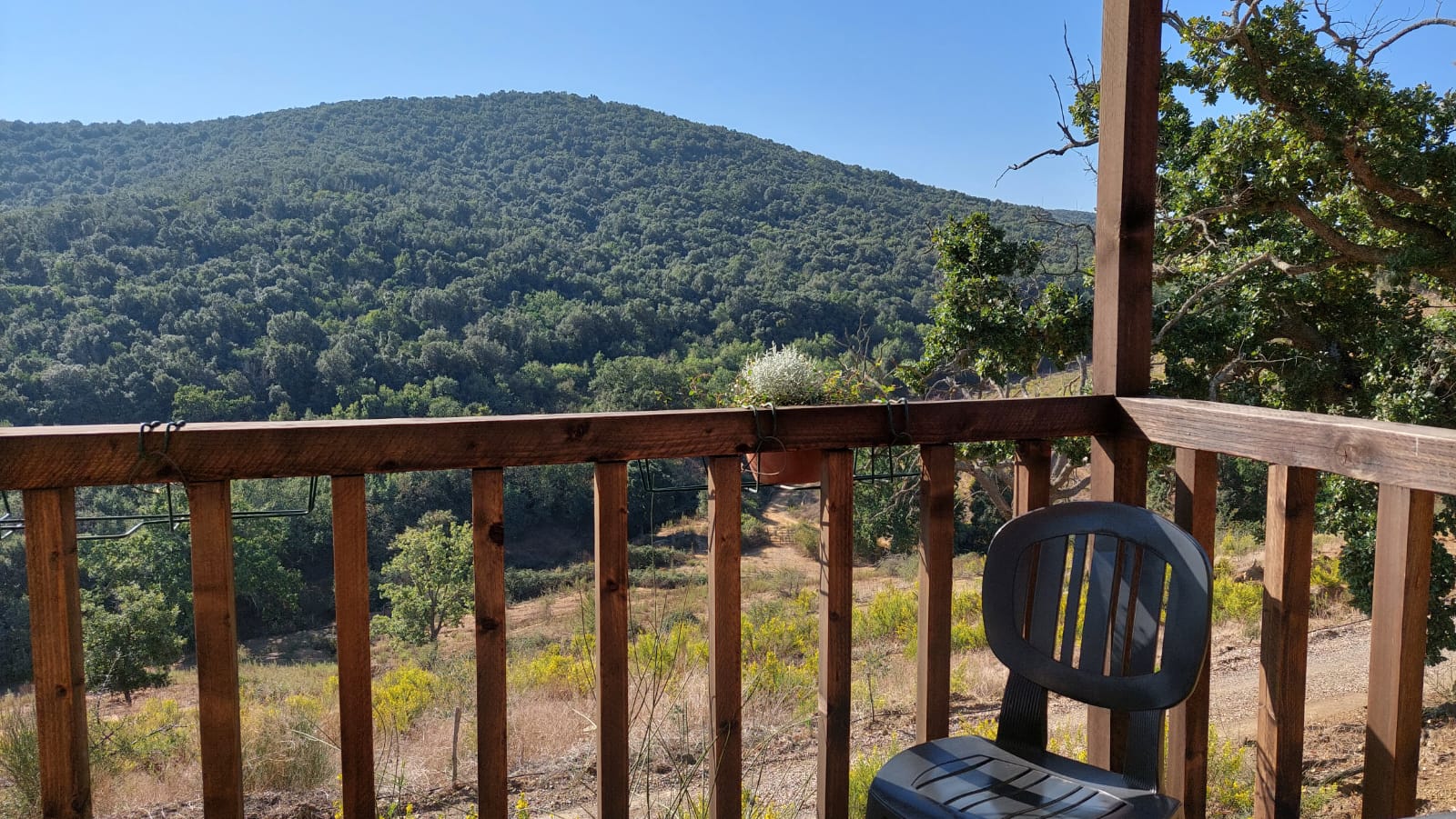 Soggiorno Experience in Glamping per Due – Natura, Relax e Sapori Autentici - Prezzo € 290,00 (per 2 persone) - immagine 9