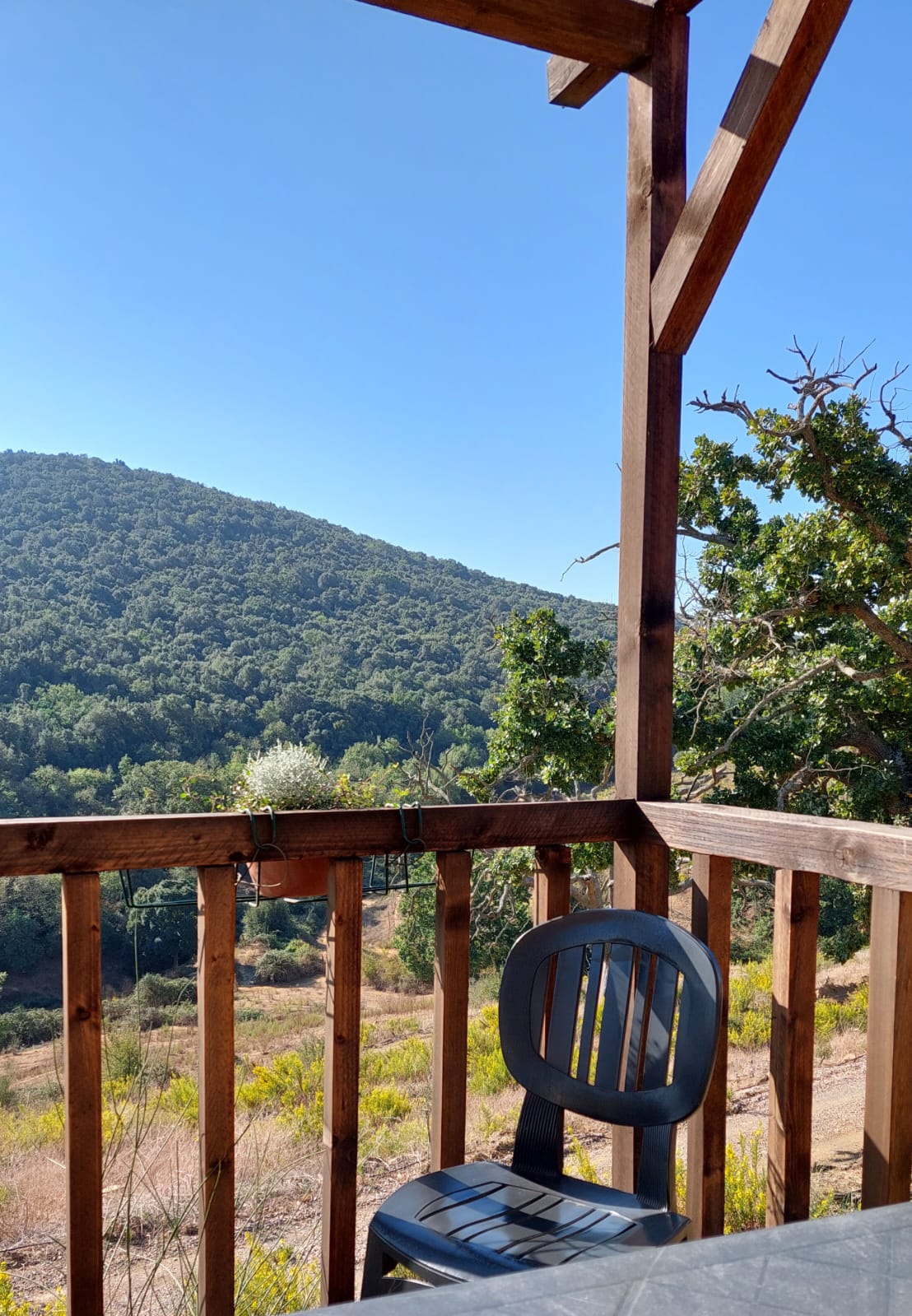 Glamp Tent Il Picchio Verde | Veranda privata, colazione inclusa - immagine 11