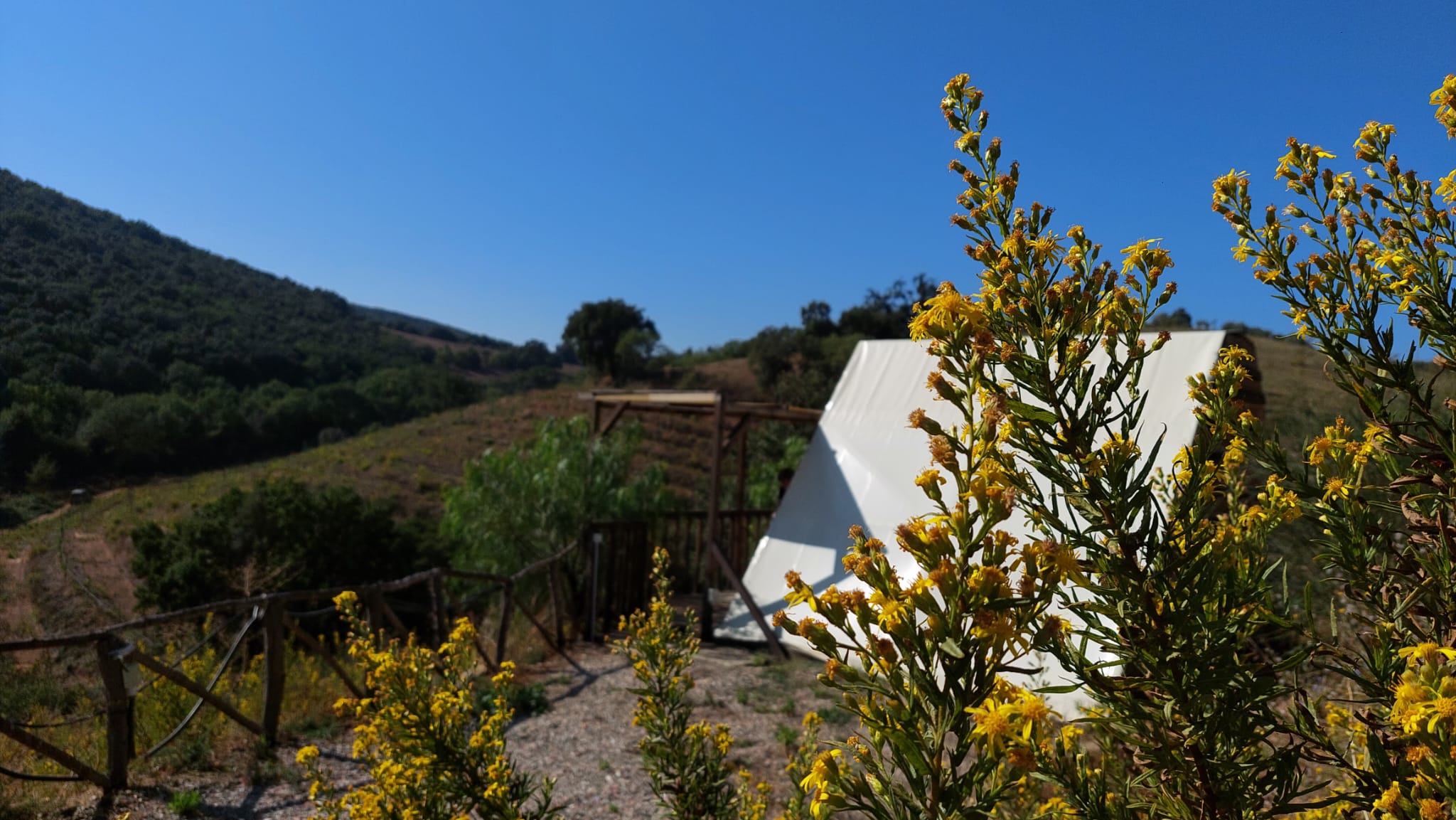 Glamp Tent Lupo Grigio | Veranda privata, colazione inclusa - immagine 3