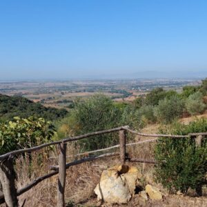 Dormire in fattoria in Maremma