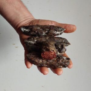 Vendita online salumi maremma: Ammazzafegato di suino brado artigianale