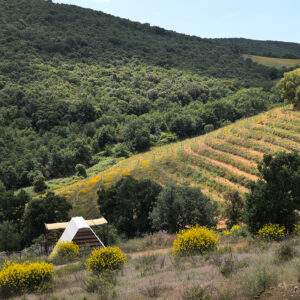 Agricampeggio in Maremma